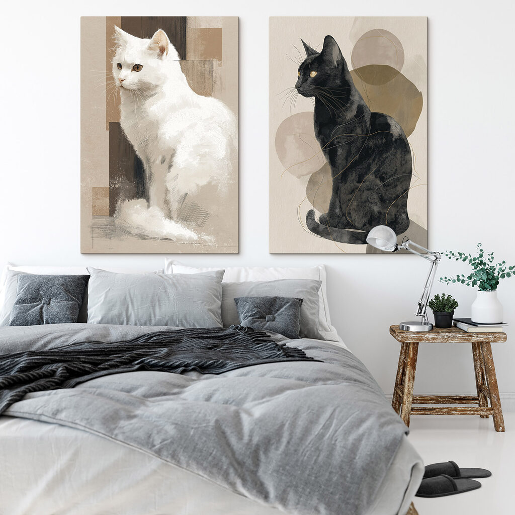 Gatti bianco e nero in un ambiente