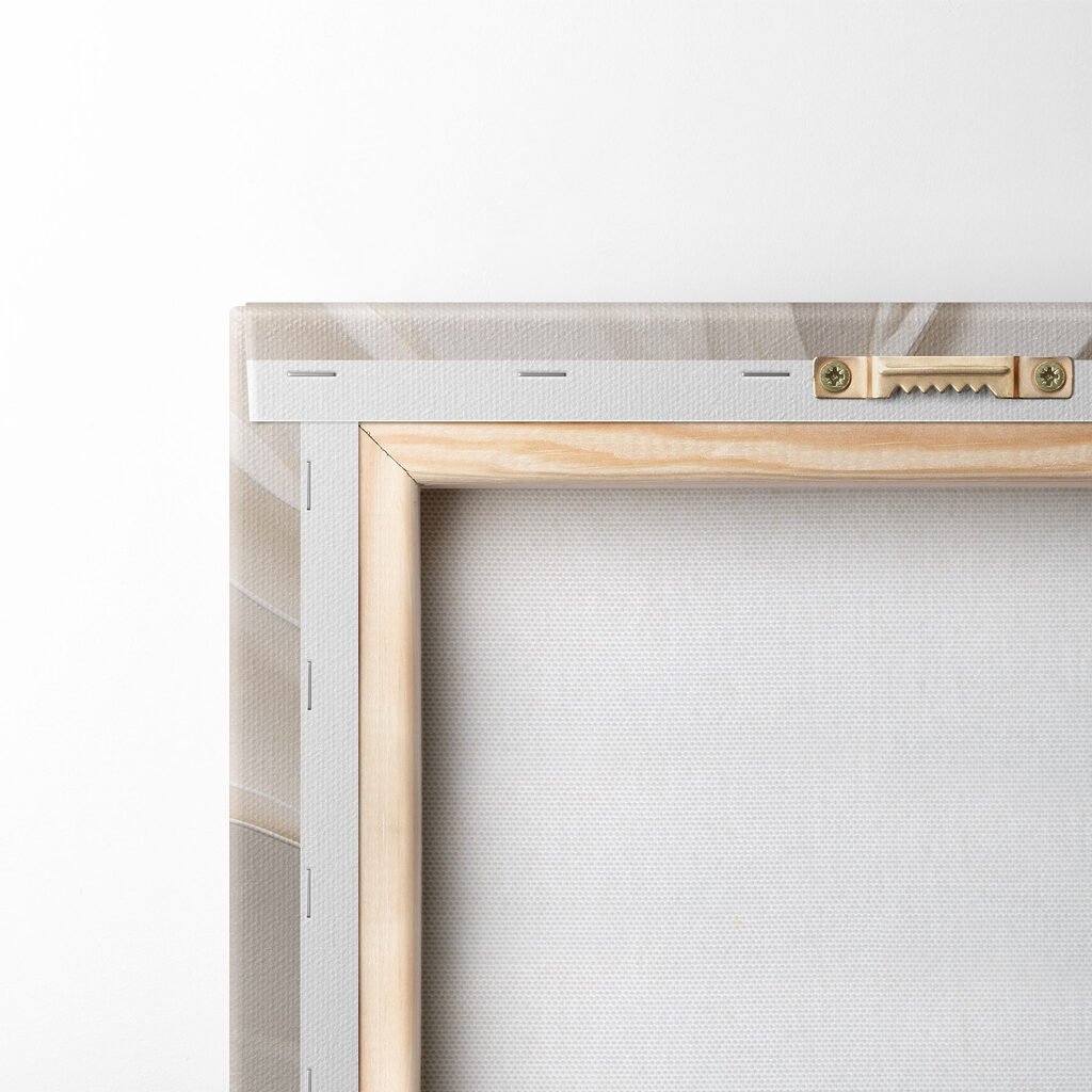 Fiore bianco in rilievo — retro