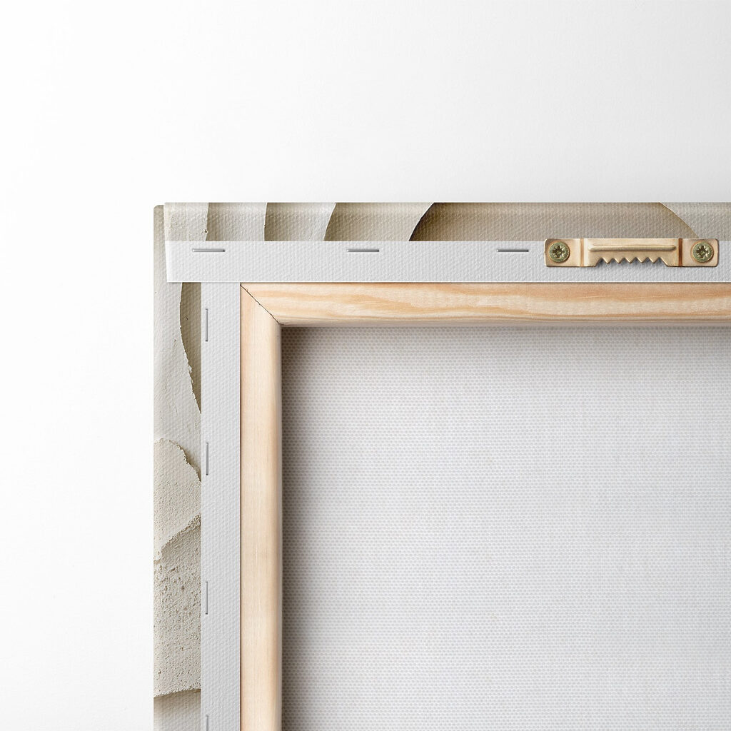 Forme organiche — retro