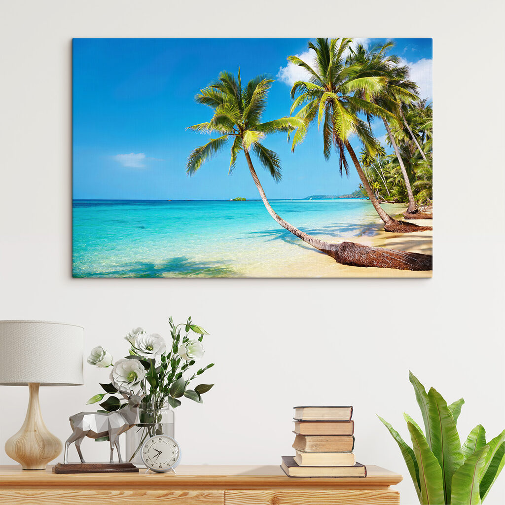 Palme sul mare — ambiente 4