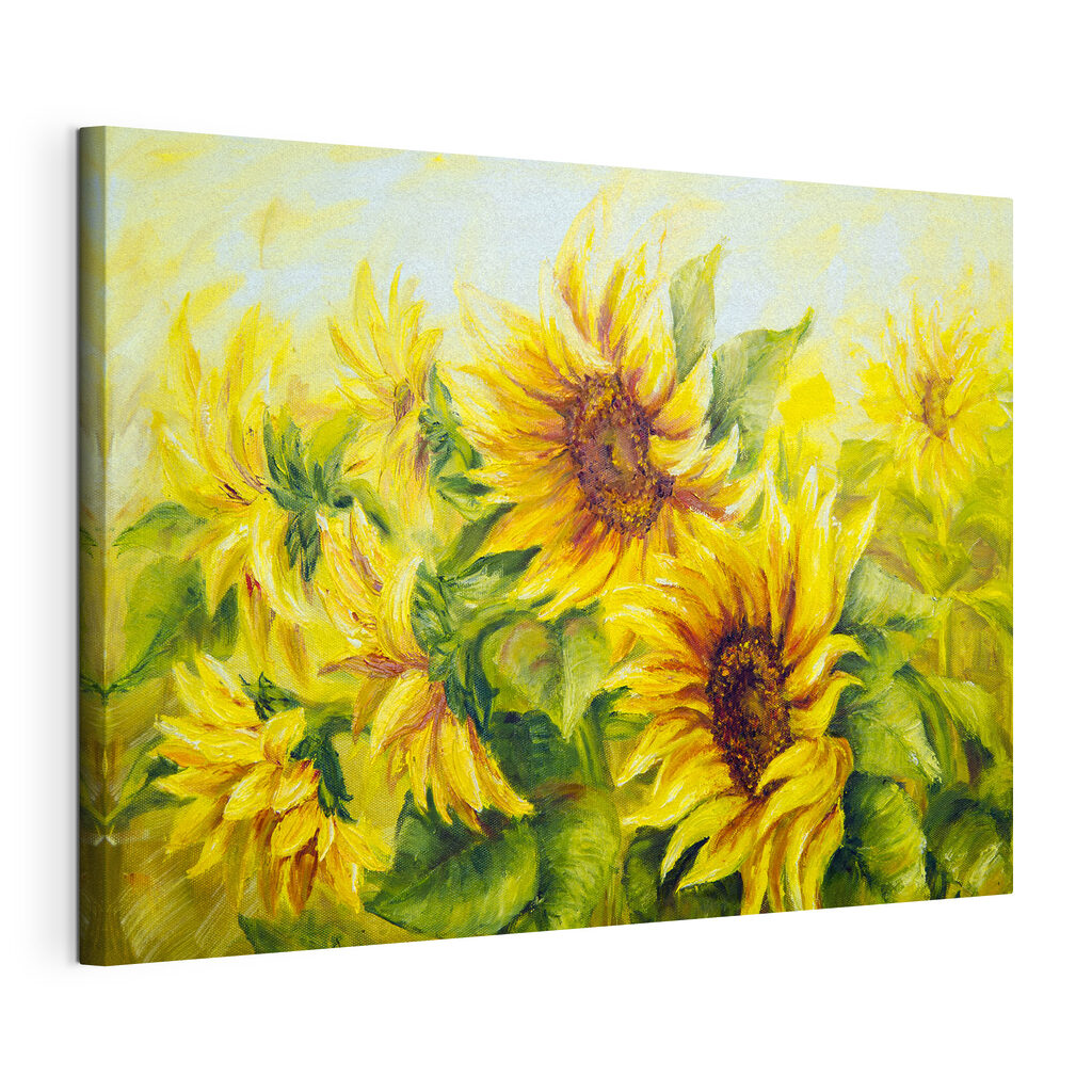 Girasoli in giallo caldo, tela tesa e bordo avvolto
