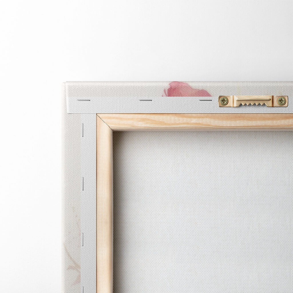 Fiori rossi su bianco — retro
