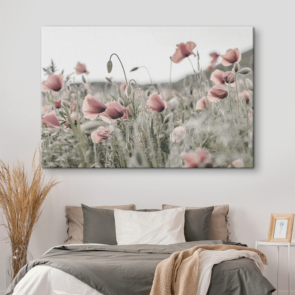 Papaveri rosa silenziosi — ambiente 2