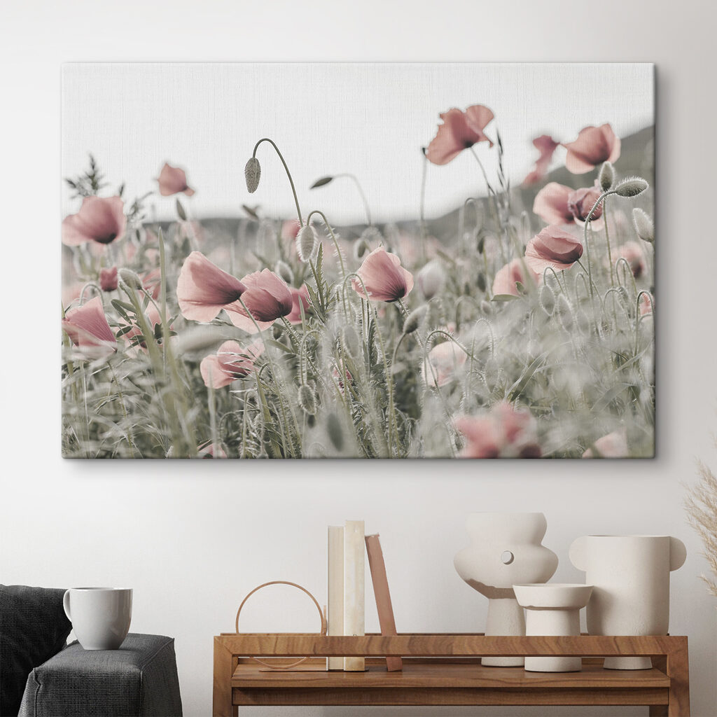 Papaveri rosa silenziosi — ambiente 1