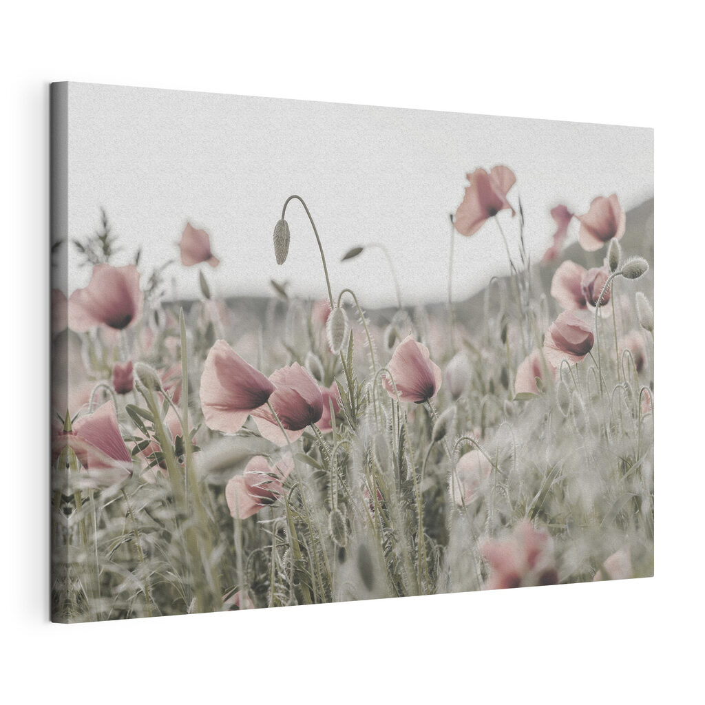 Papaveri rosa silenziosi, tela tesa e bordo avvolto