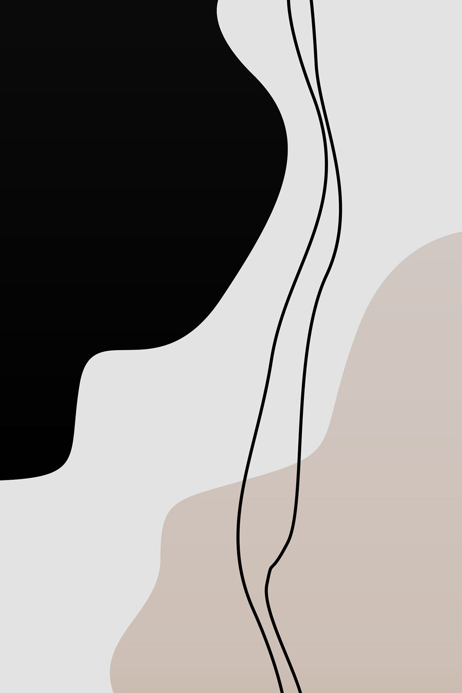 Curva nera sui contorni — design completo