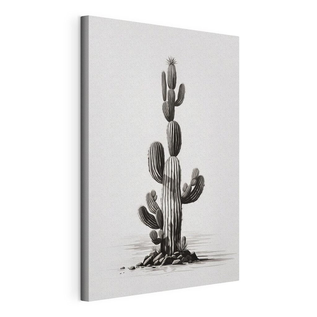 Cactus in tratti neri, tela tesa e bordo avvolto