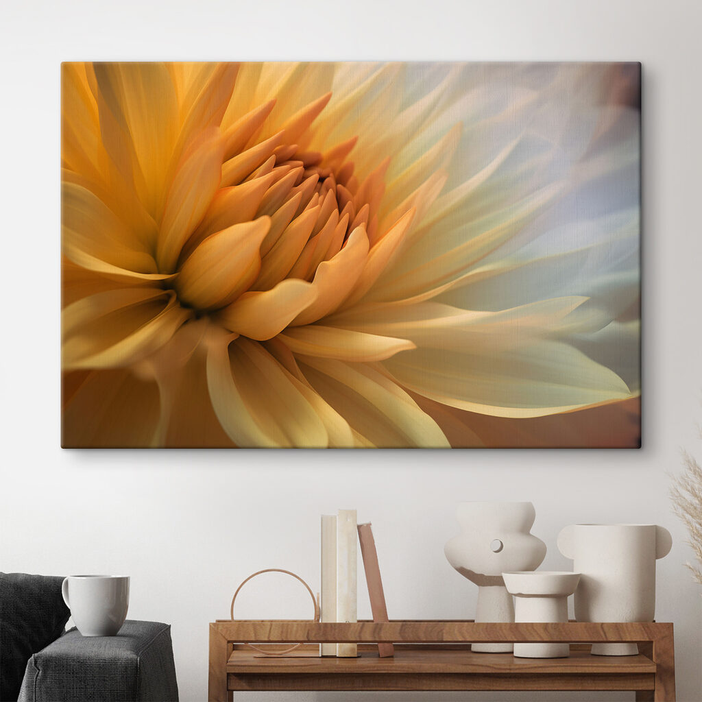 Cuore di fiore giallo — ambiente 2