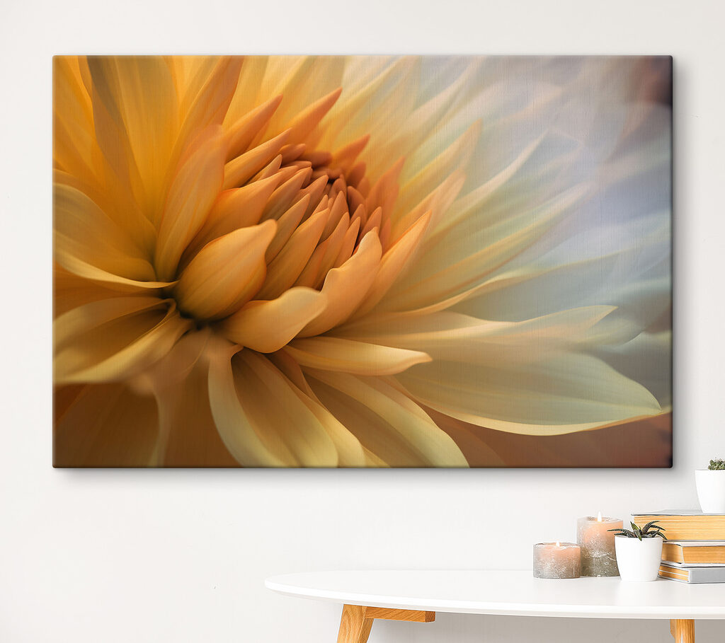 Cuore di fiore giallo — ambiente 3