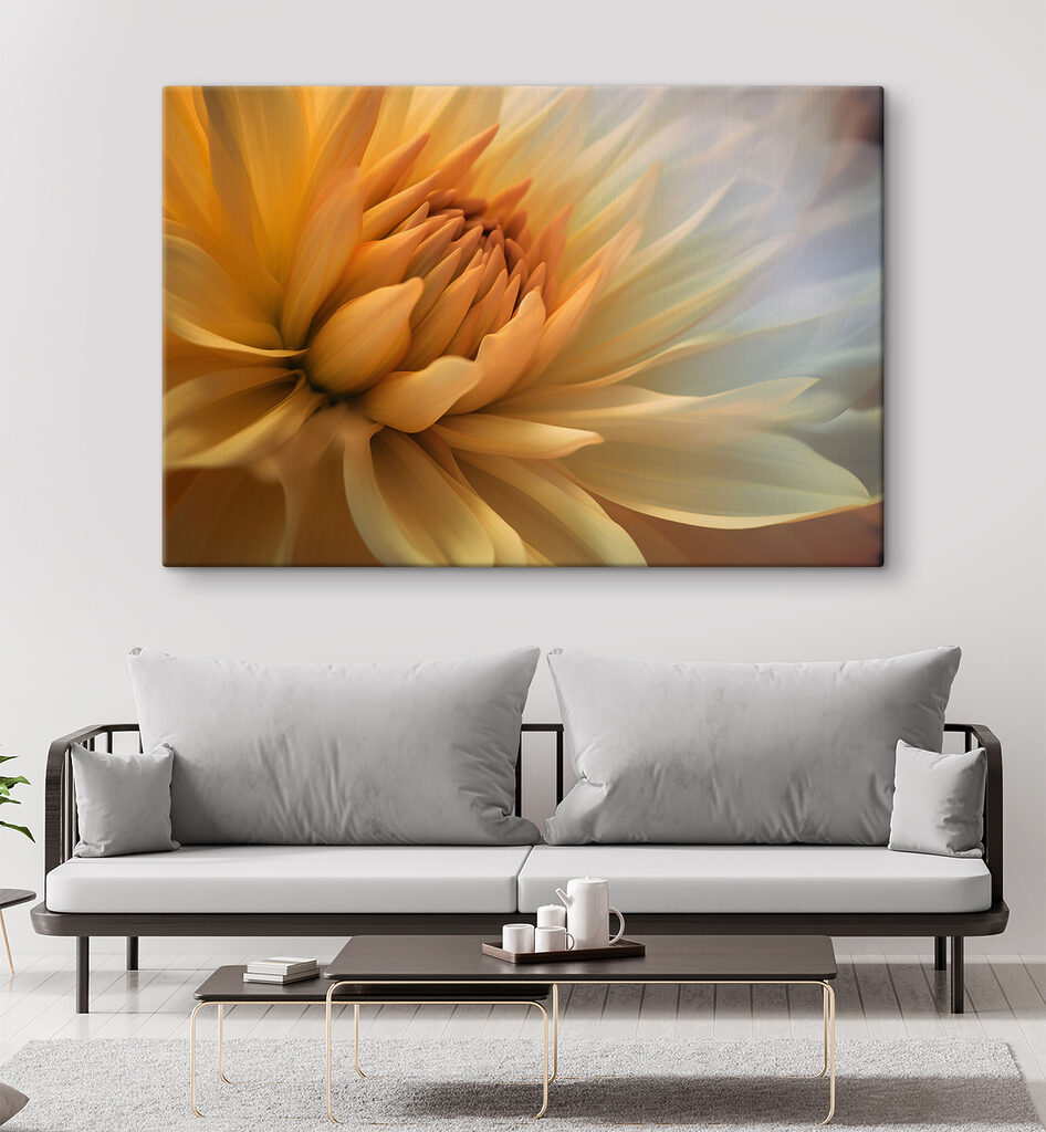 Cuore di fiore giallo — ambiente 1