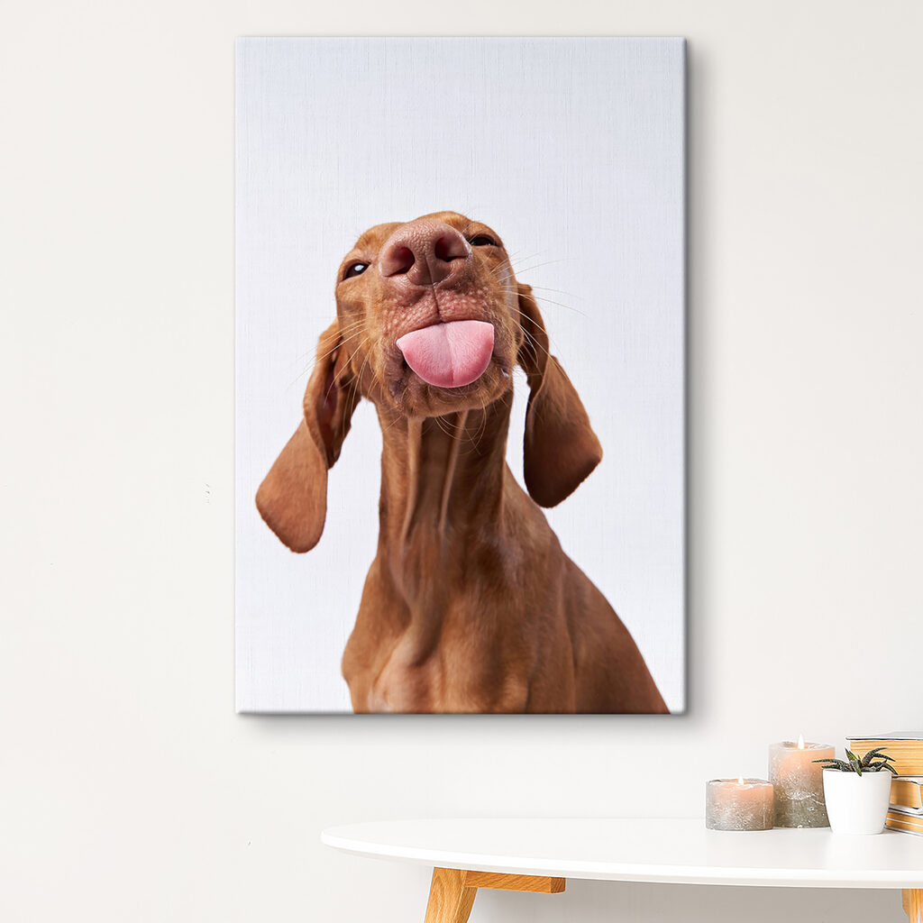 Cane con lingua fuori — ambiente 1