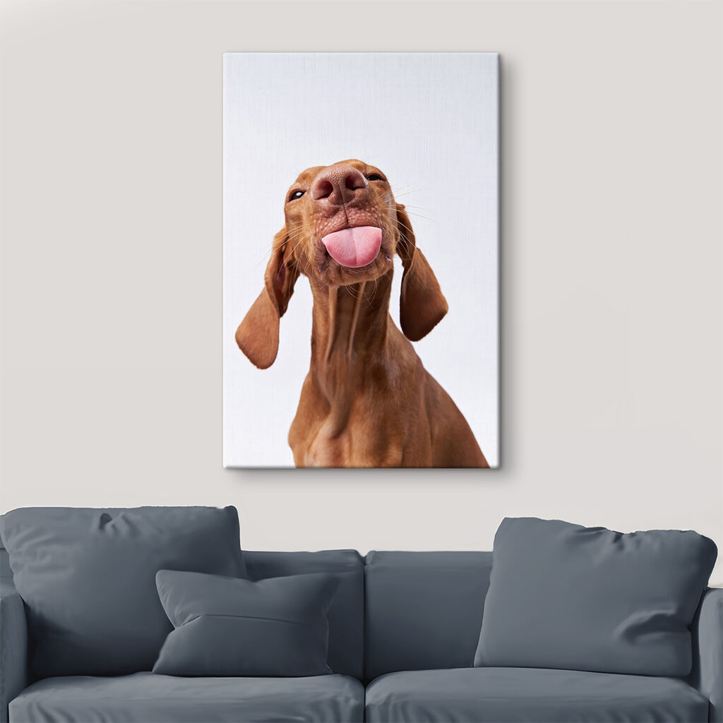 Cane con lingua fuori — ambiente 2