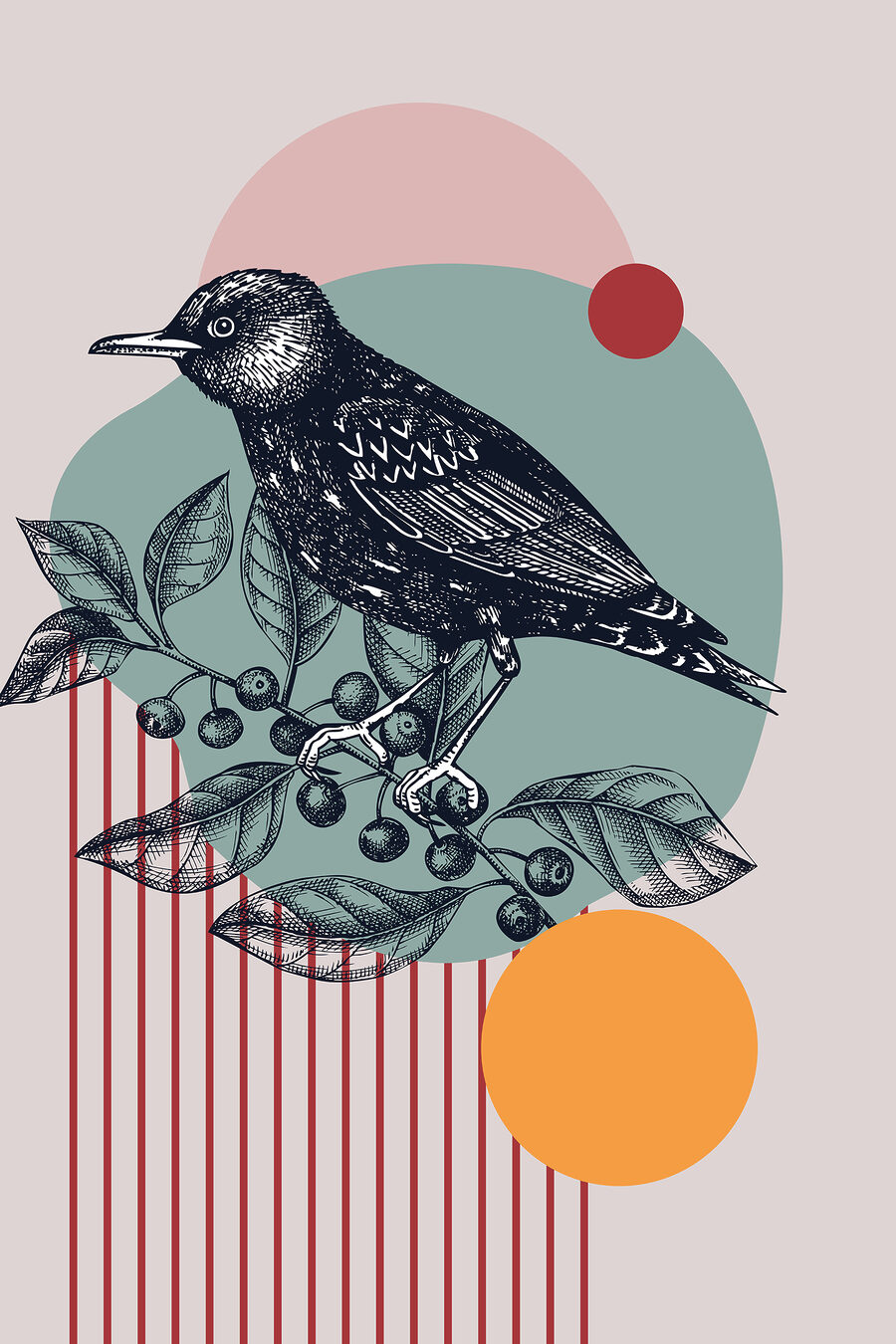 Uccello nero tra cerchi — design completo