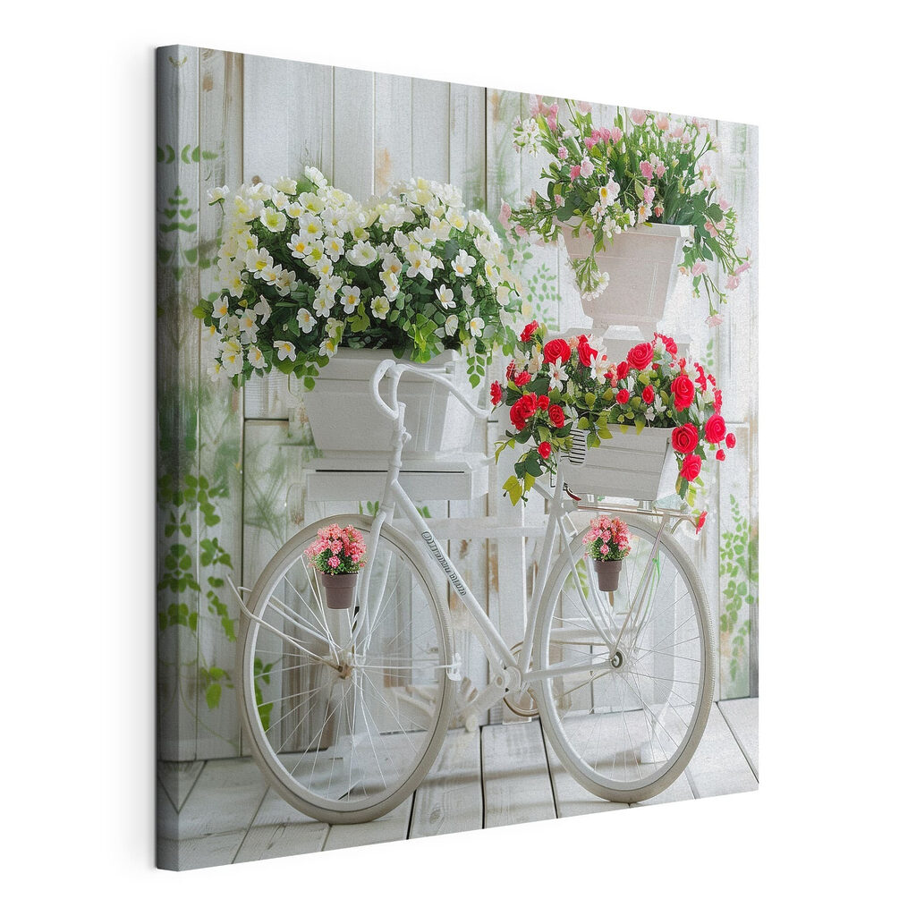 Bici bianca, rose rosse, tela tesa e bordo avvolto