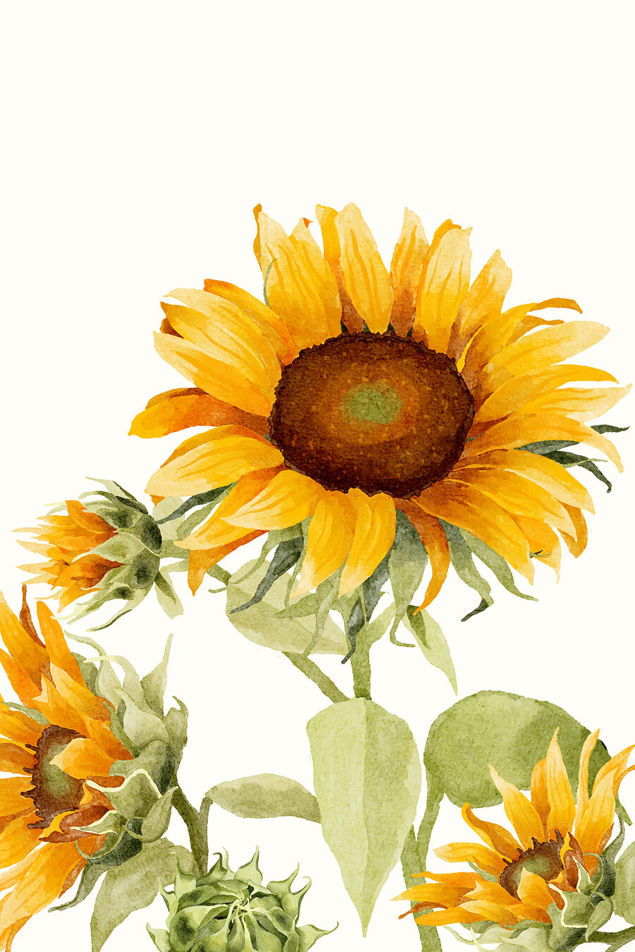 Girasole verso l’alto — design completo