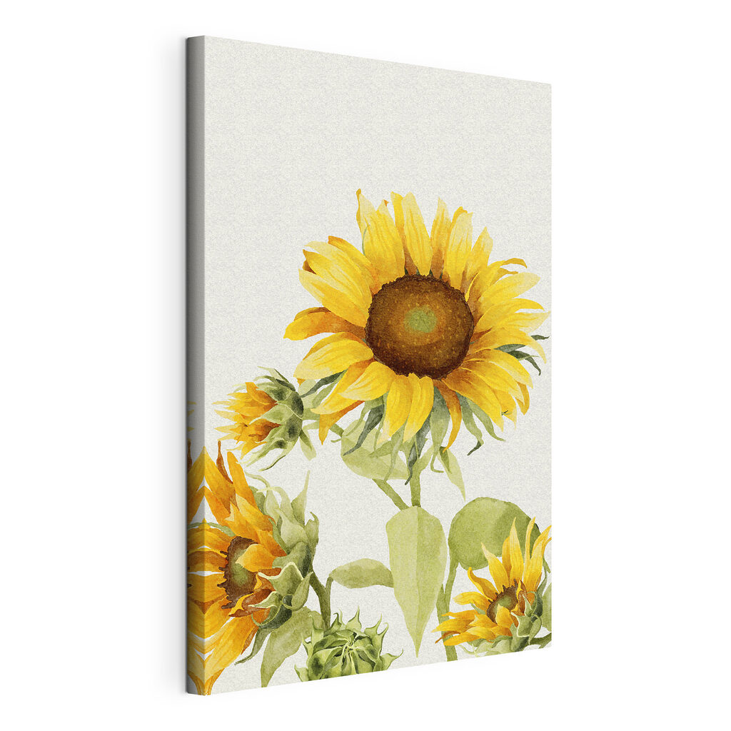 Girasole verso l’alto, tela tesa e bordo avvolto