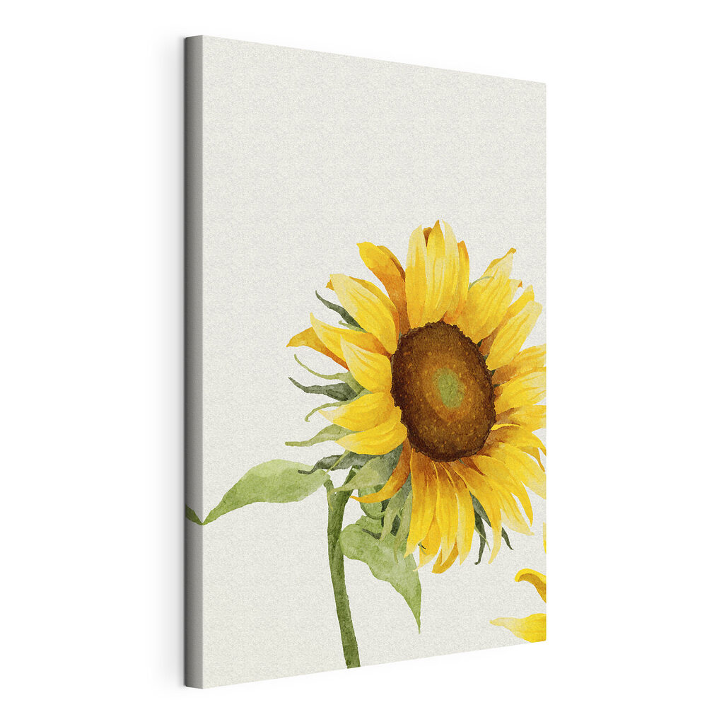 Girasole di profilo, tela tesa e bordo avvolto