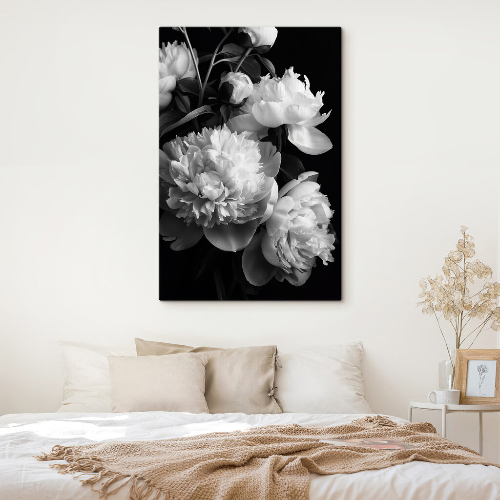 Peonie in bianconero — ambiente 2