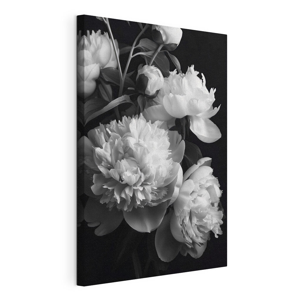Peonie in bianconero, tela tesa e bordo avvolto