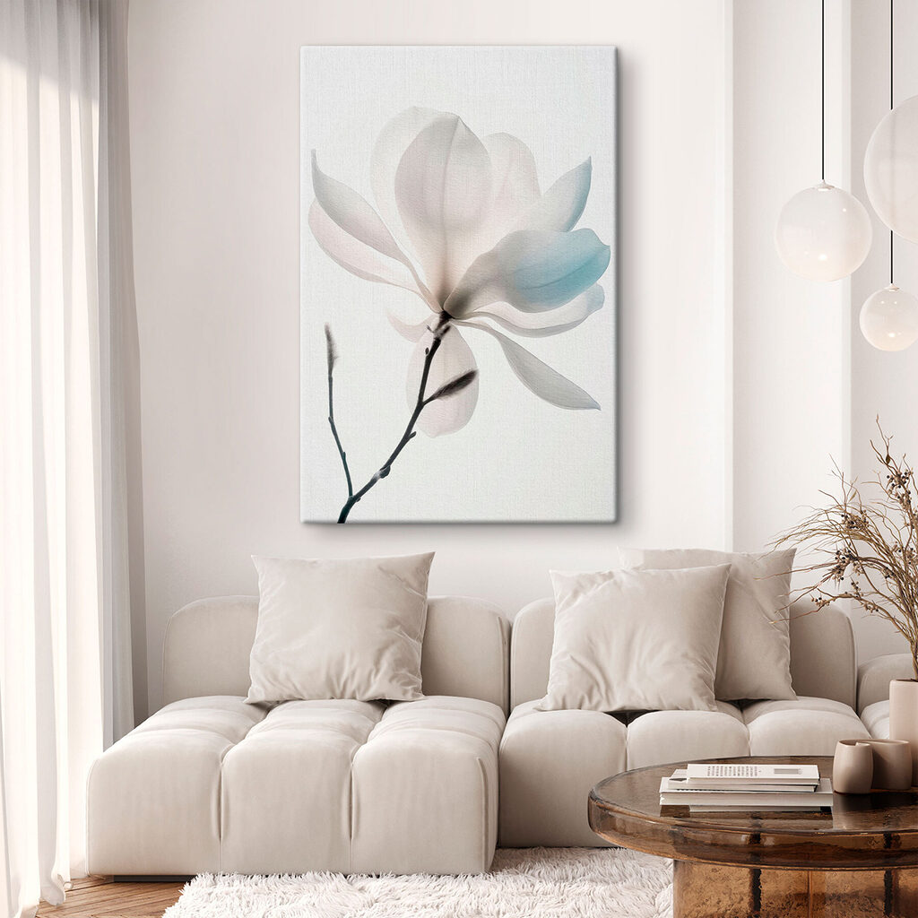 Magnolia bianca in fiore — ambiente 1