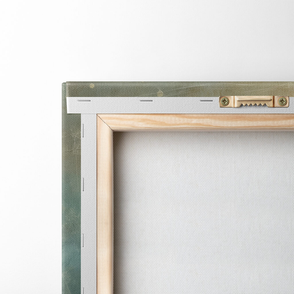 Canne nella luce serale — retro