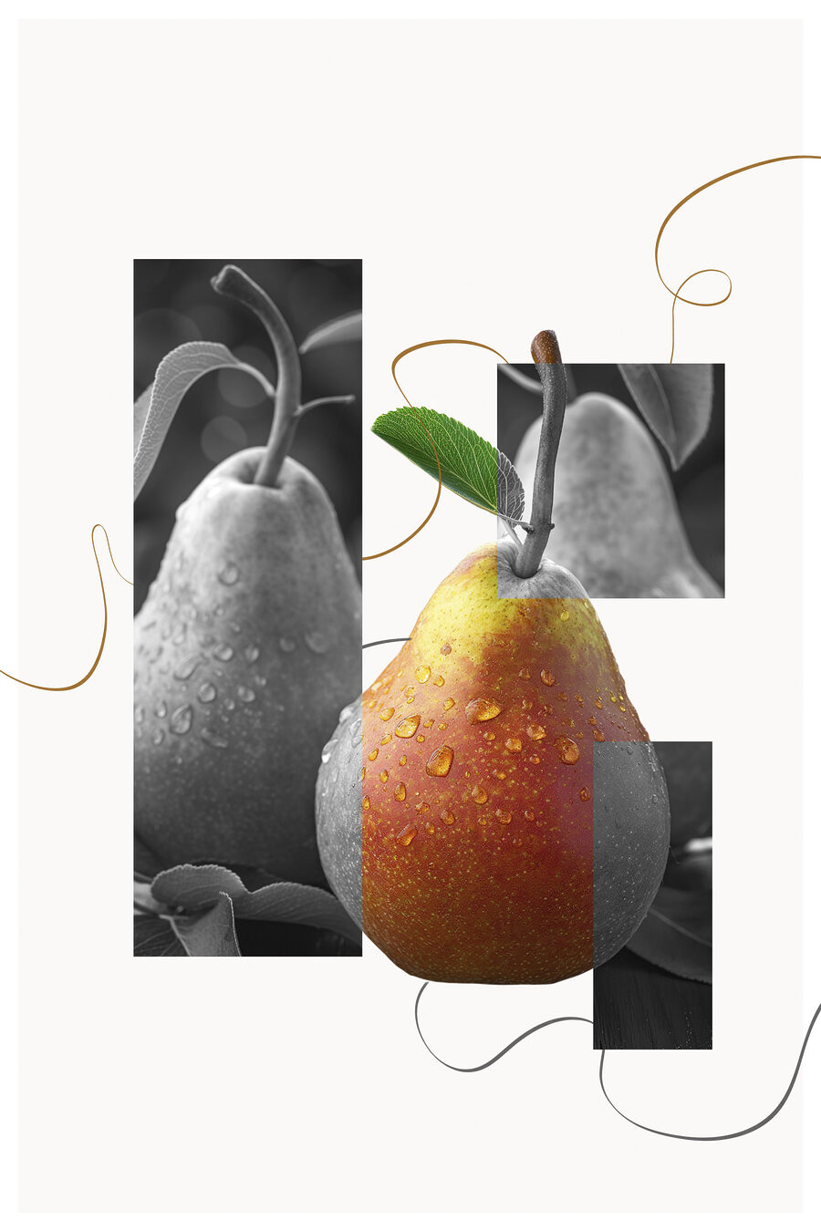 Pera tra i ritagli — design completo
