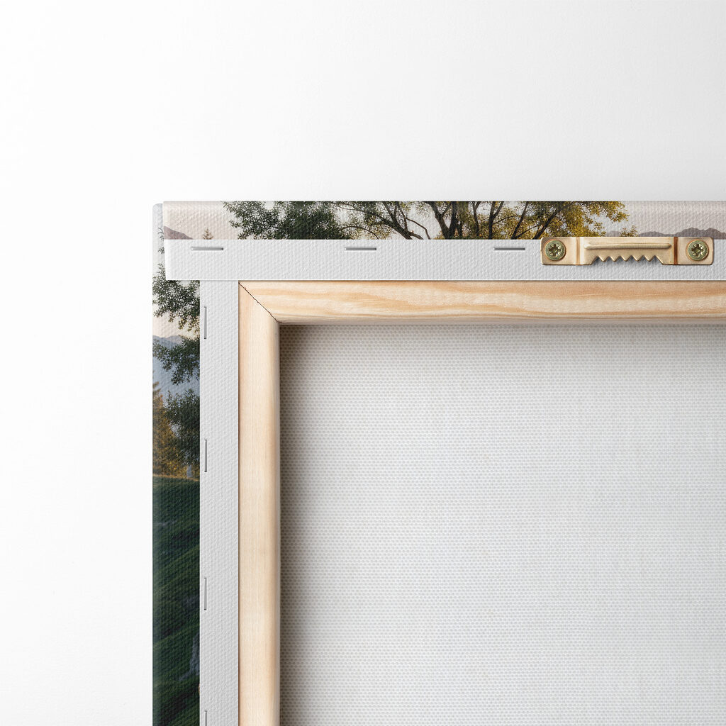 Fioritura rosa sopra l’acqua — retro