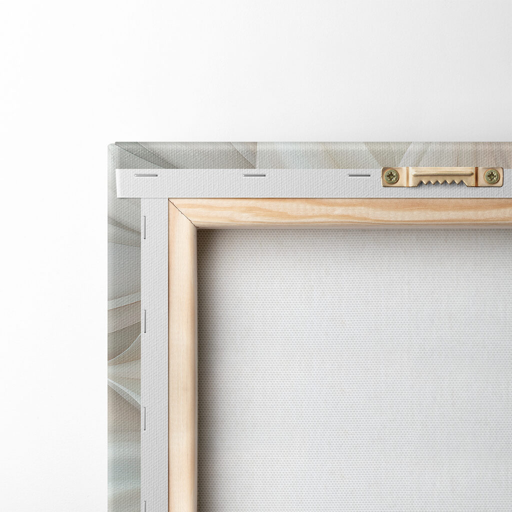 Petali bianchi in vortice — retro