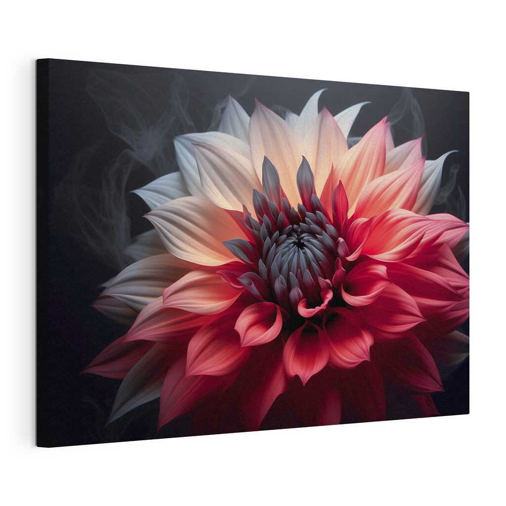 Dalia in due colori, tela tesa e bordo avvolto
