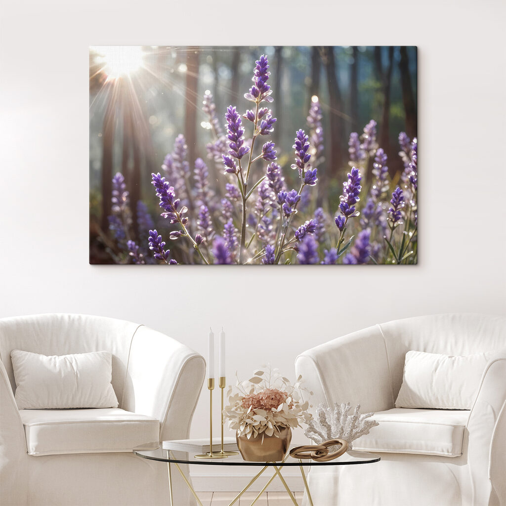 Lavanda alla luce in un ambiente