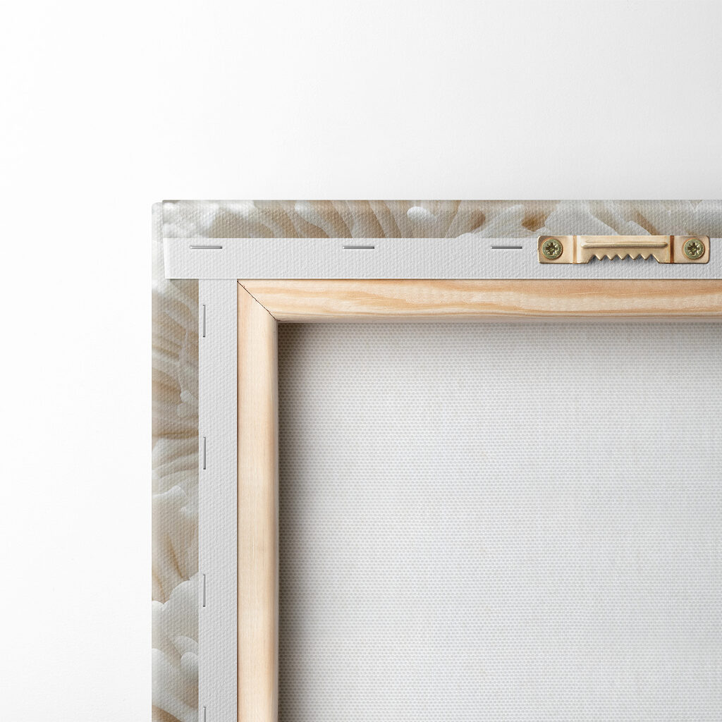 Fiori bianchi a rosetta — retro
