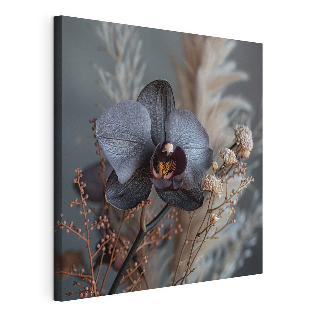 Orchidea scura tra graminacee — vista del prodotto