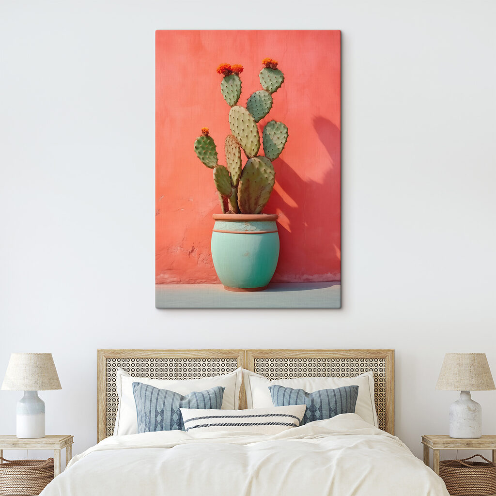 Cactus al sole — ambiente 2