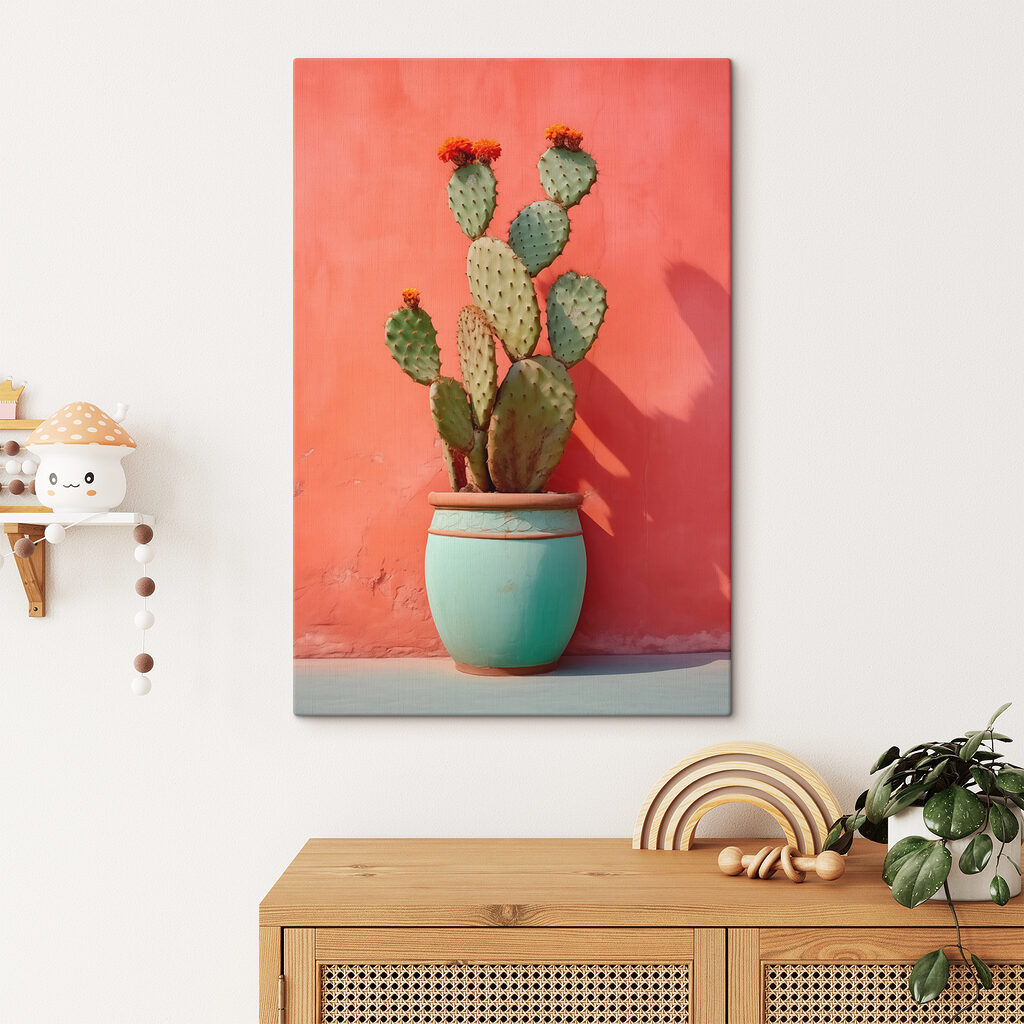 Cactus al sole — ambiente 1
