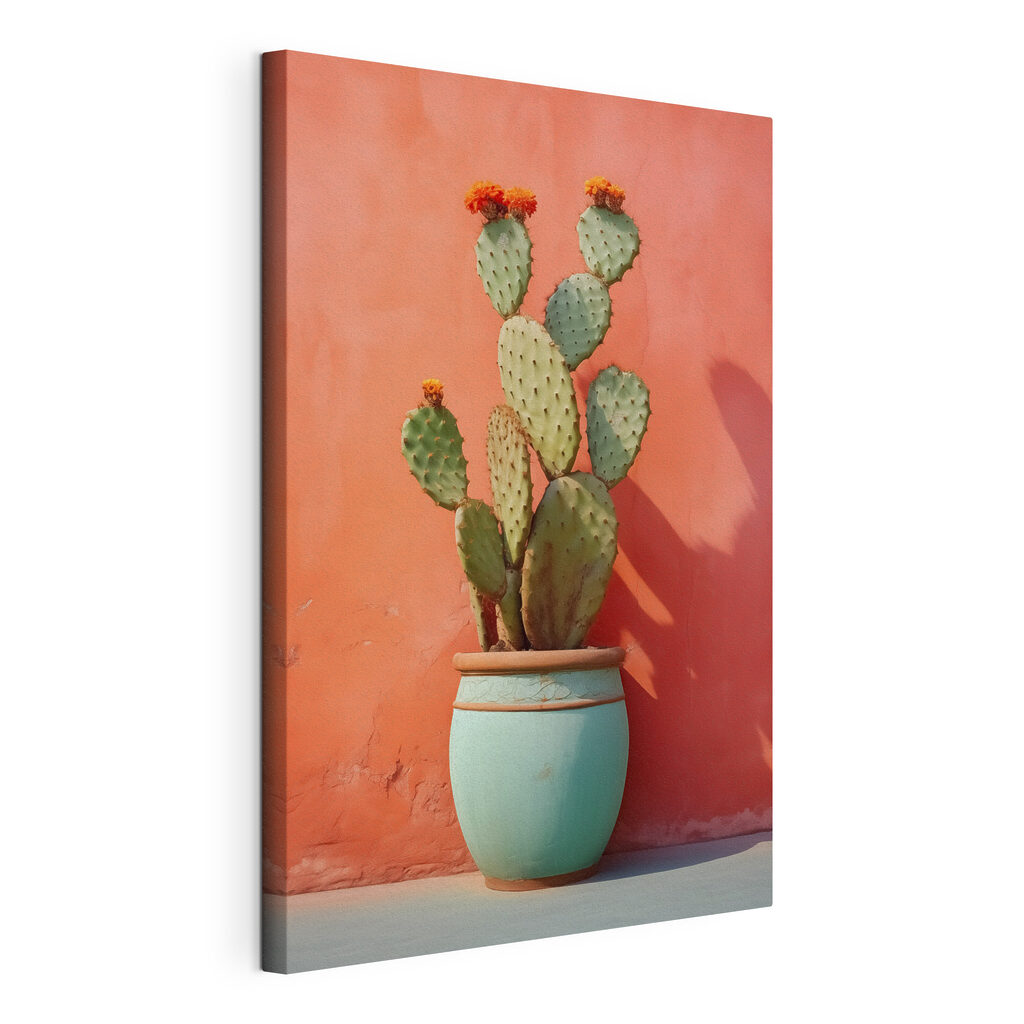 Cactus al sole, tela tesa e bordo avvolto