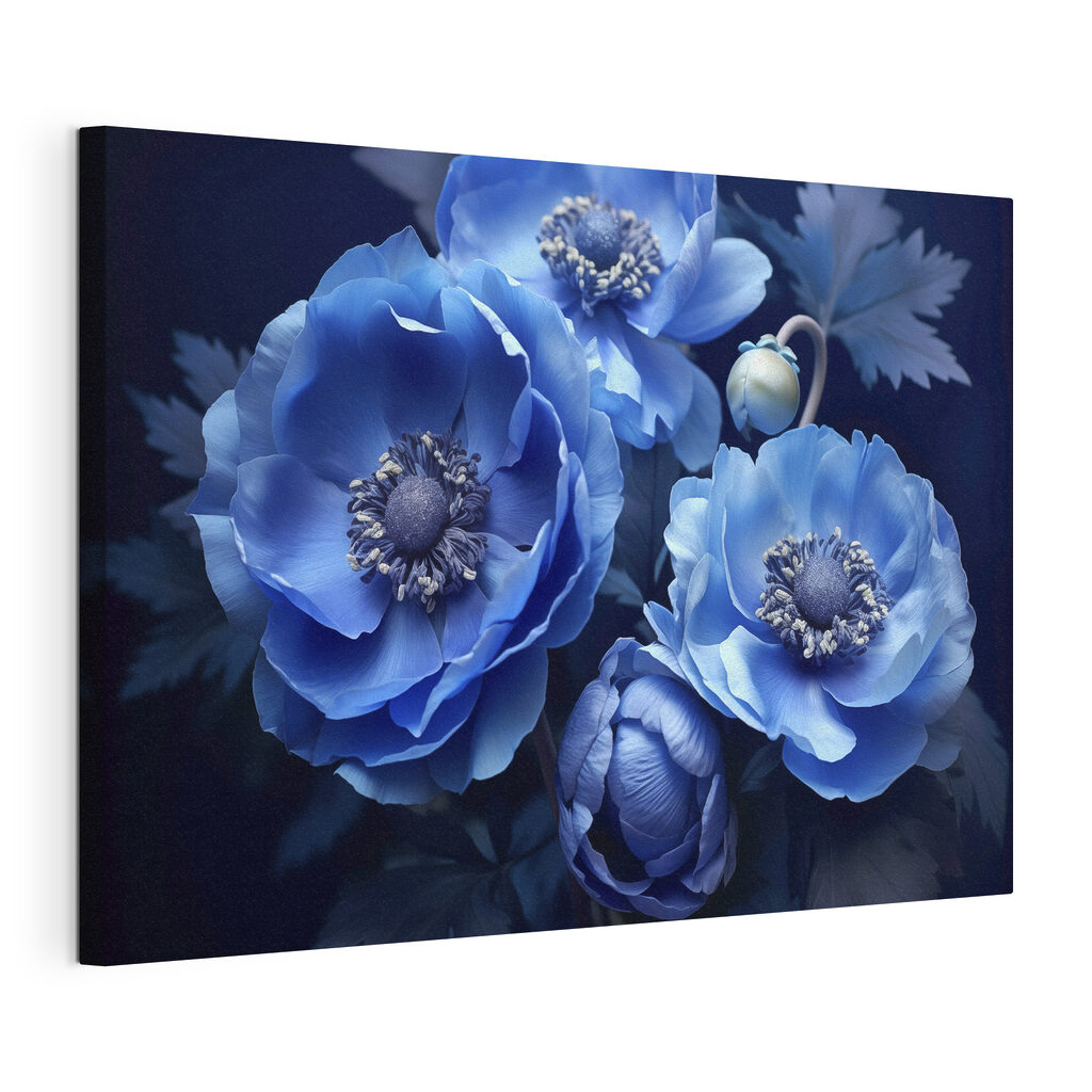 Tre fiori blu scuro, tela tesa e bordo avvolto