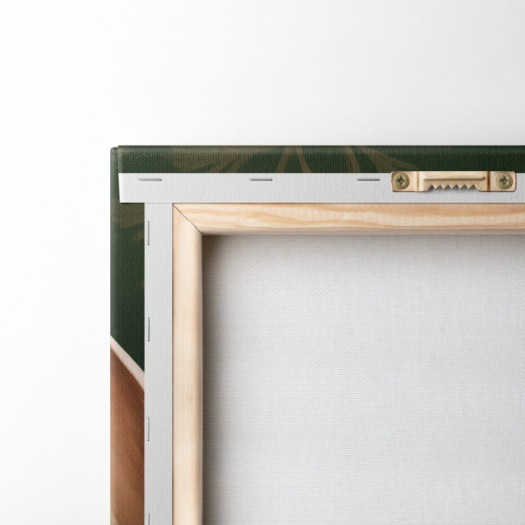 Coniglio in abito verde — retro