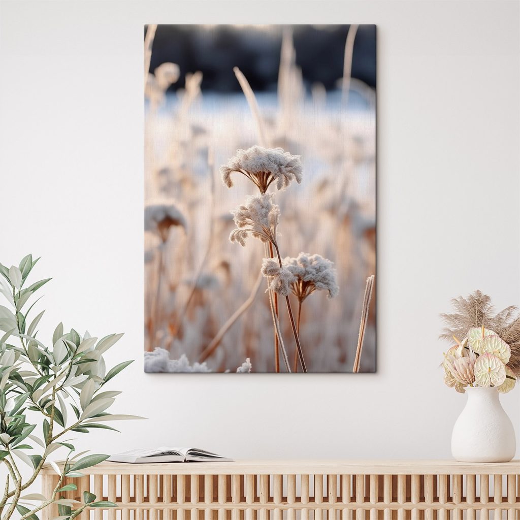 Fiori coperti di brina — ambiente 1