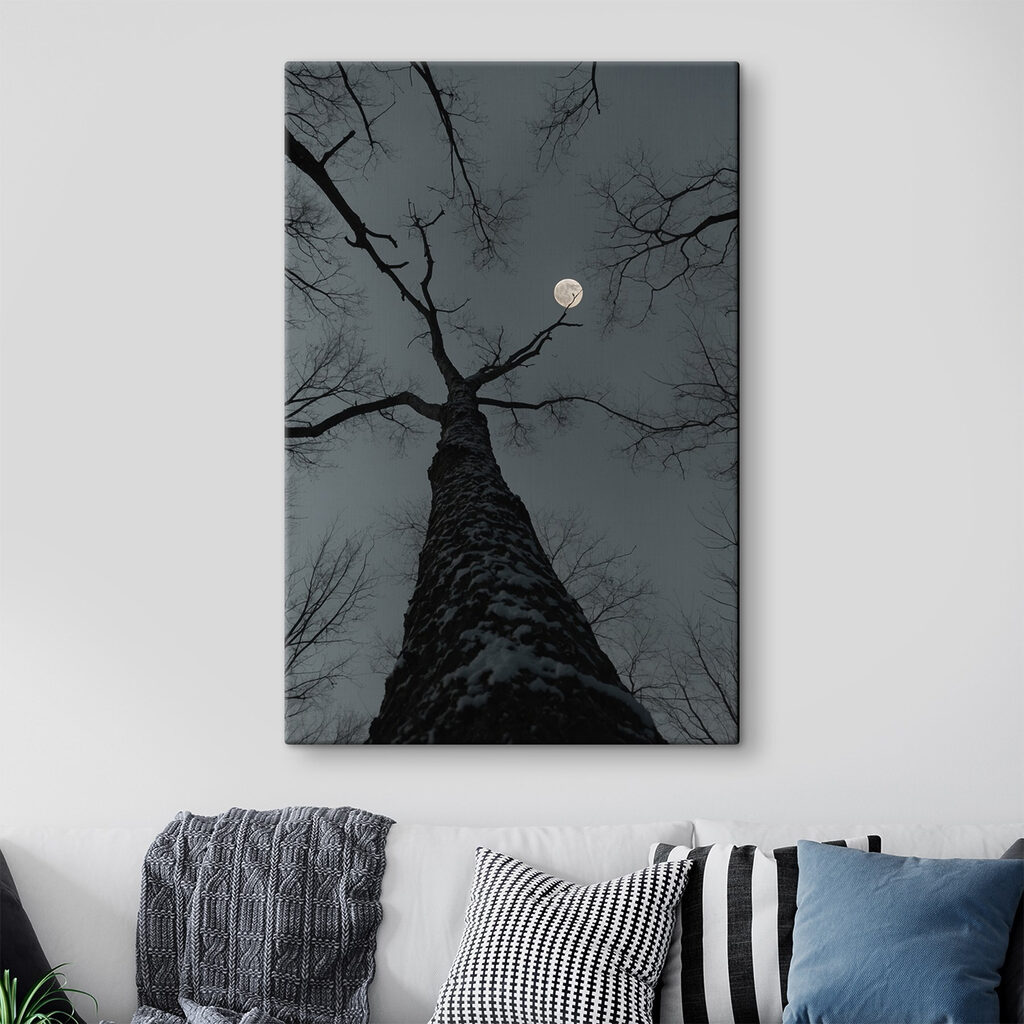 Tronco sotto la luna — ambiente 2