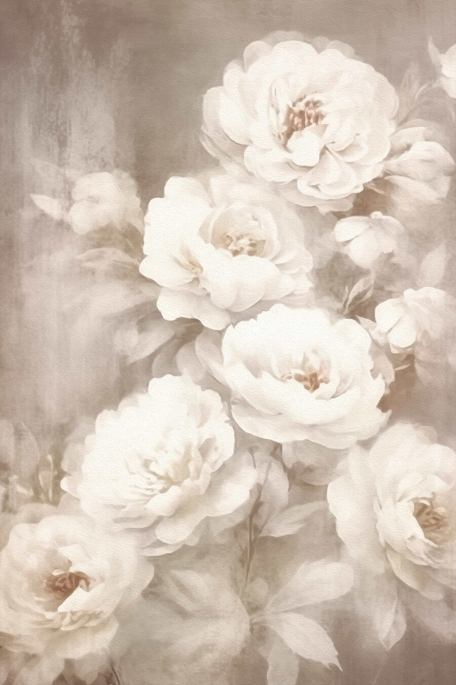 Rose bianche velate — design completo