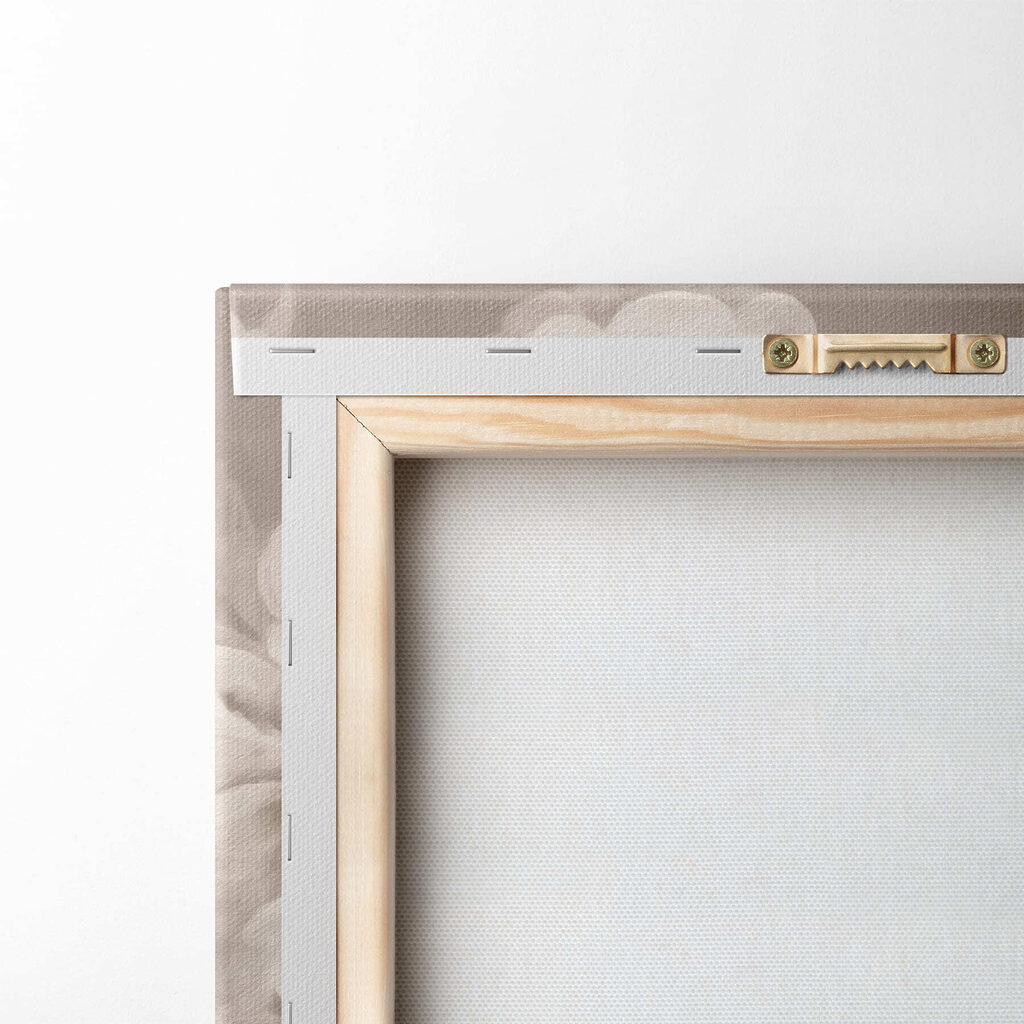 Rose bianche velate — retro