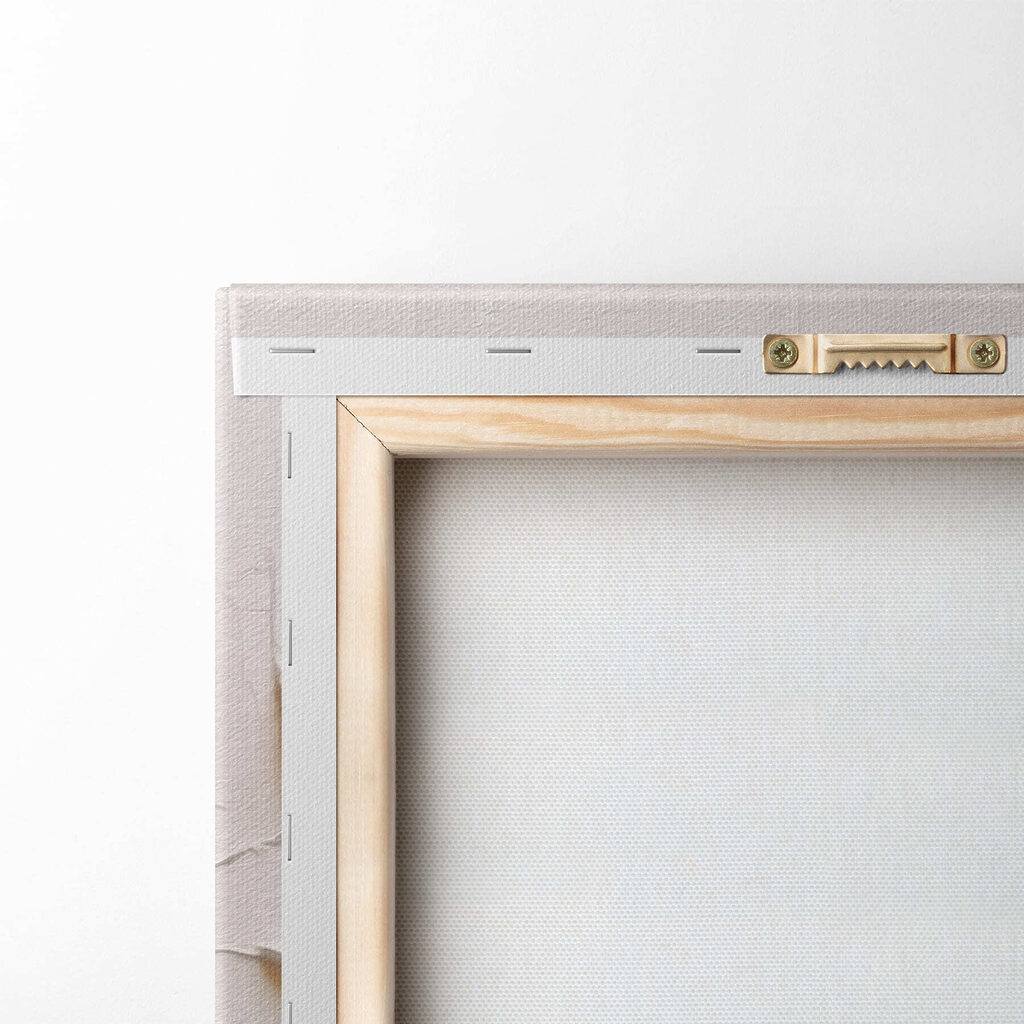 Fiore bianco su stelo — retro