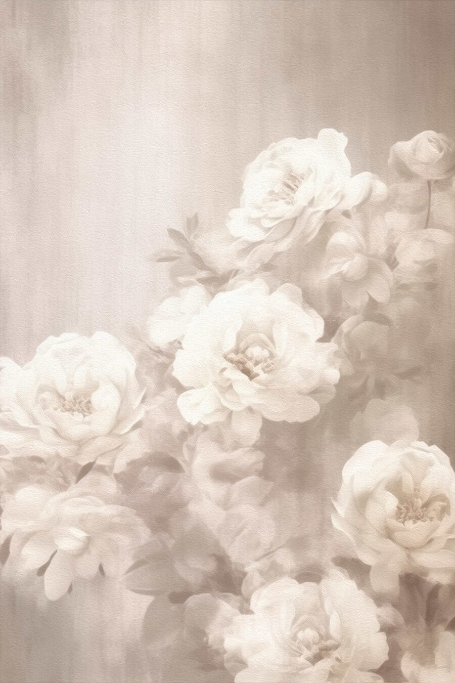 Rose bianche tra veli — design completo