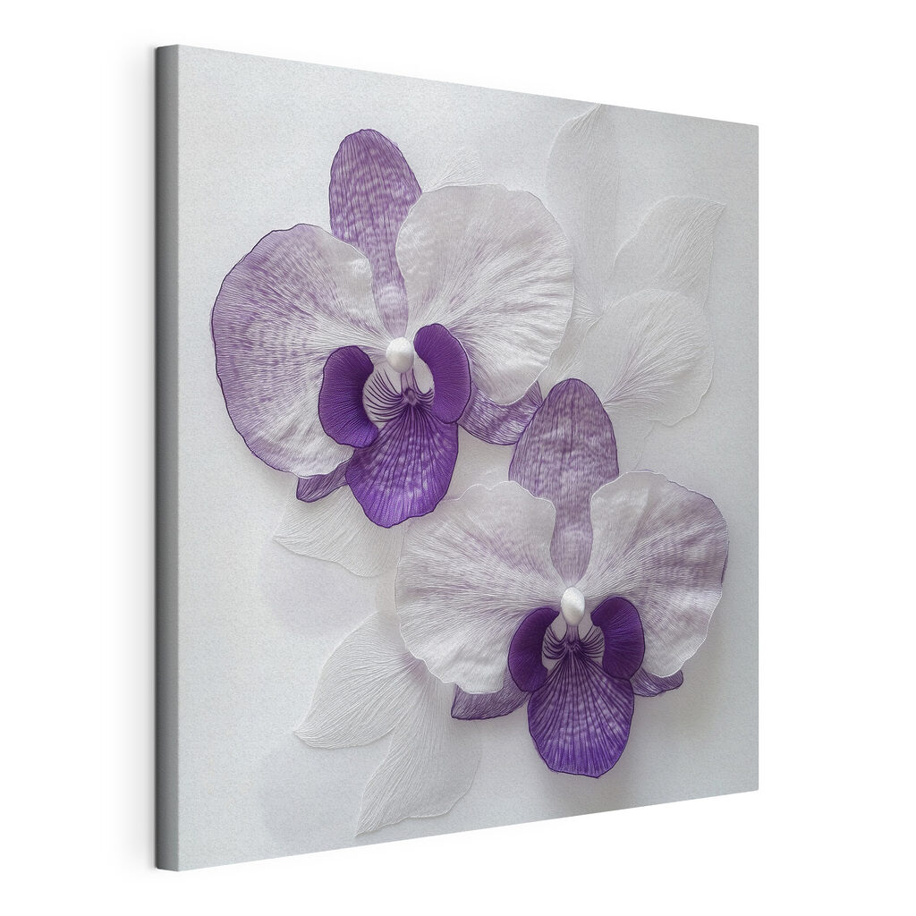 Orchidee con venature viola, tela tesa e bordo avvolto