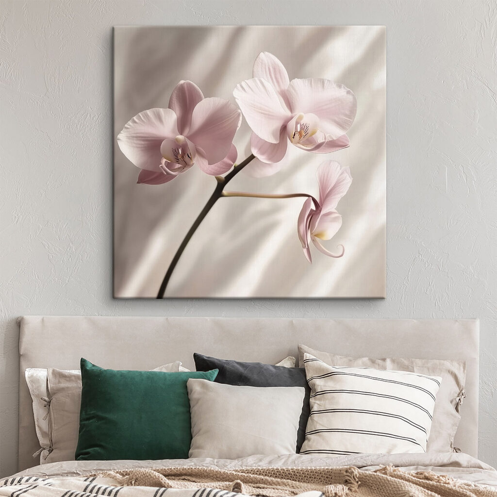 Orchidee rosa — ambiente 2