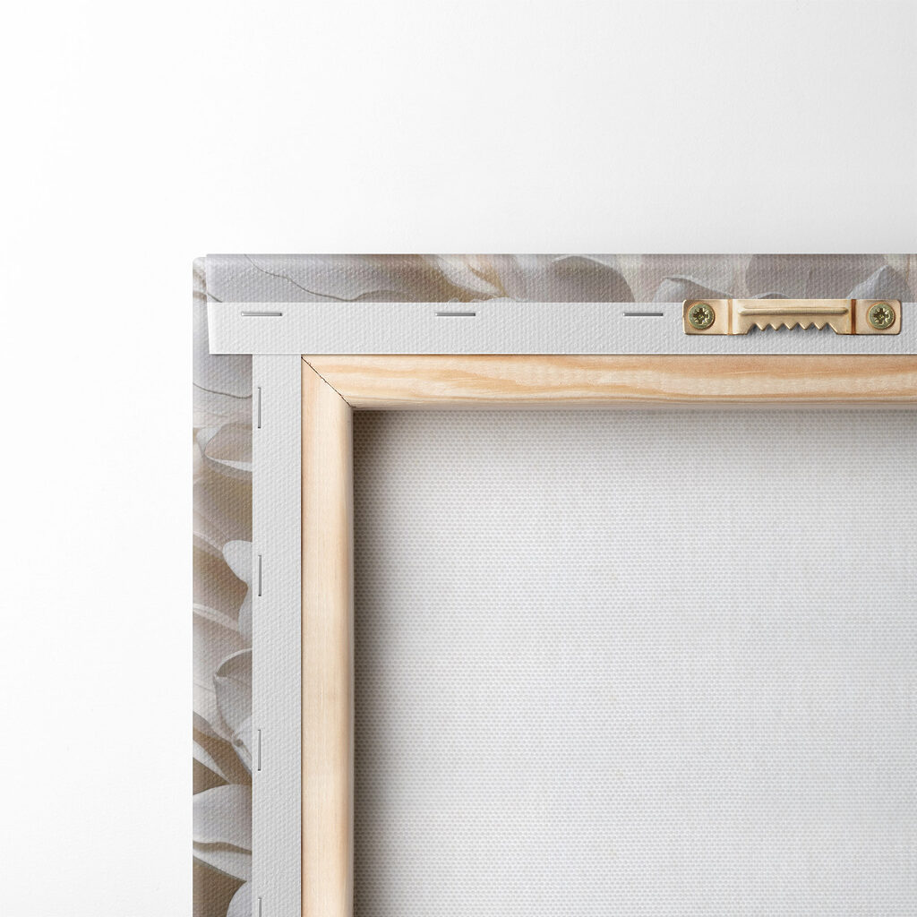 Peonia bianco avorio — retro