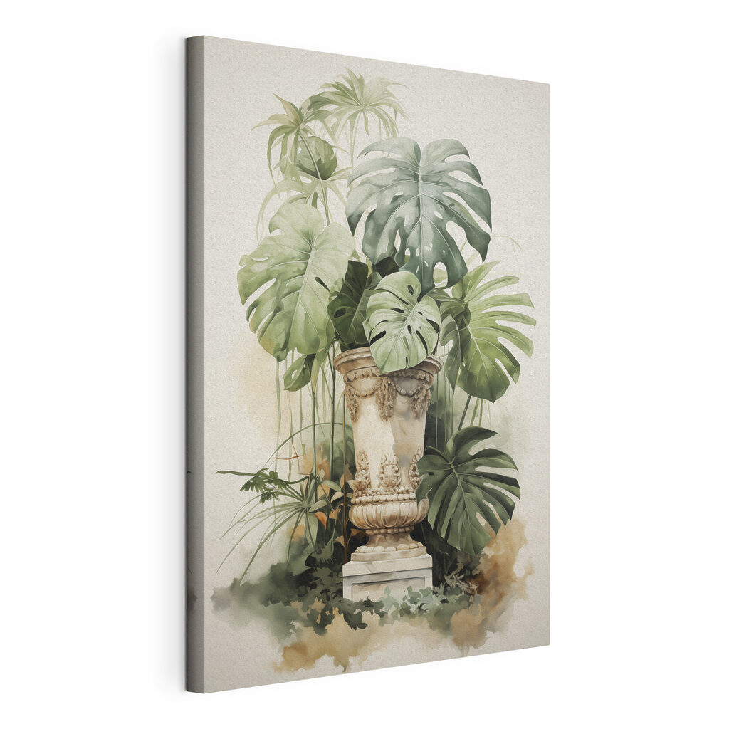 Monstera in vaso classico — vista del prodotto