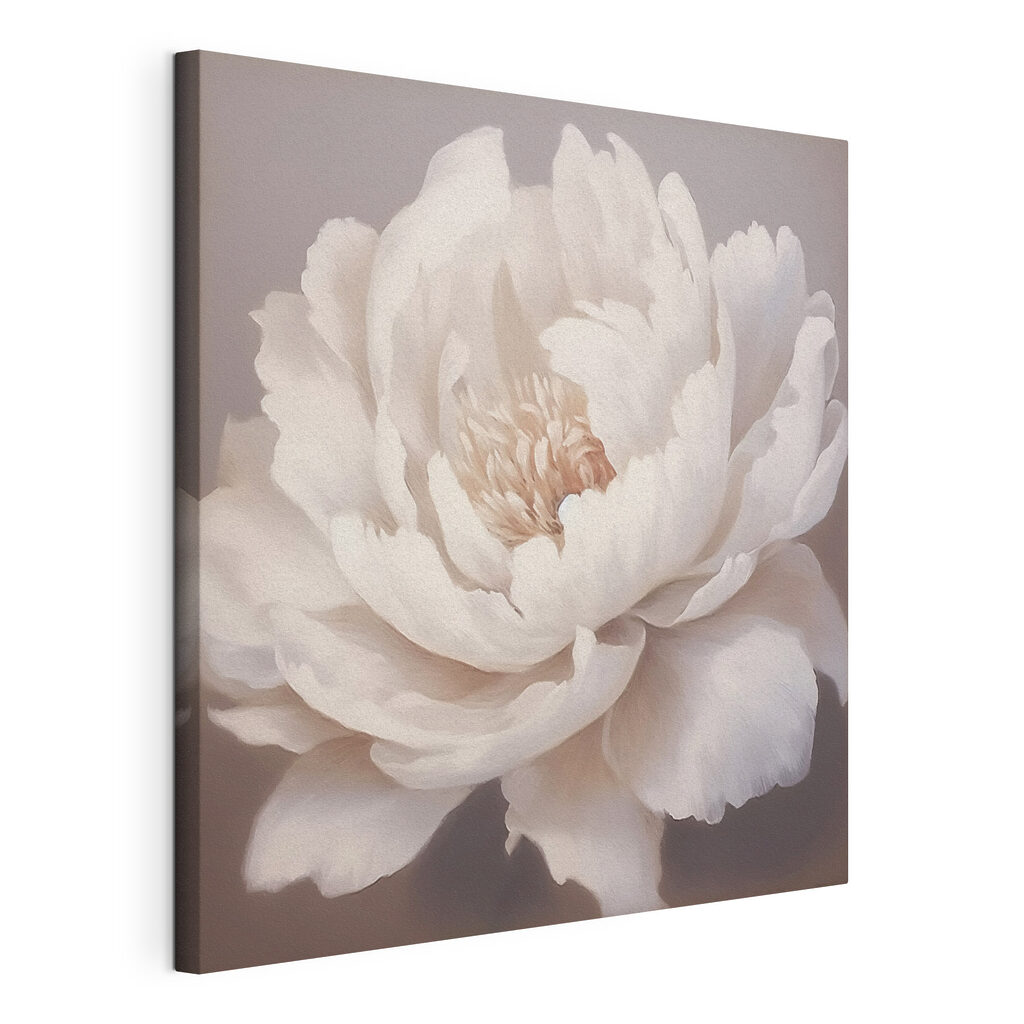 Peonia bianca, tela tesa e bordo avvolto