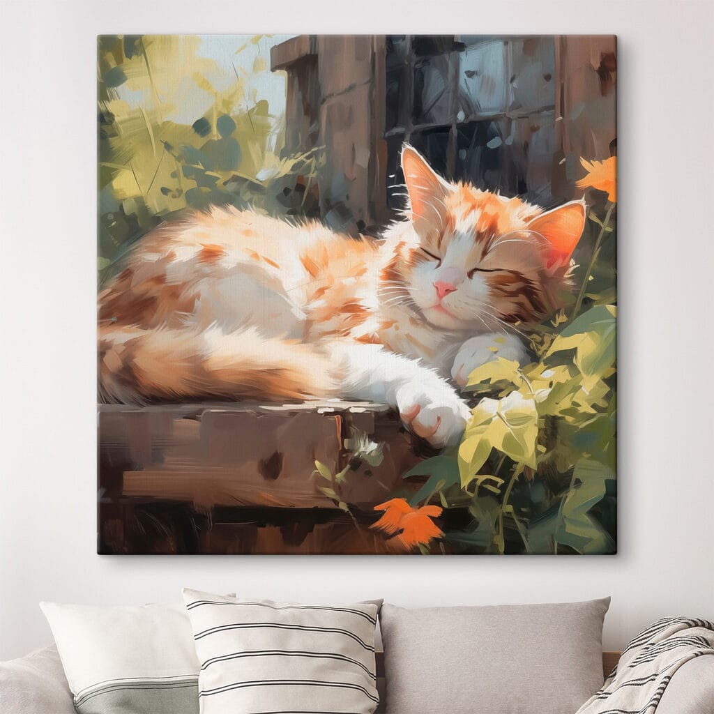 Gatto addormentato al sole — ambiente 1