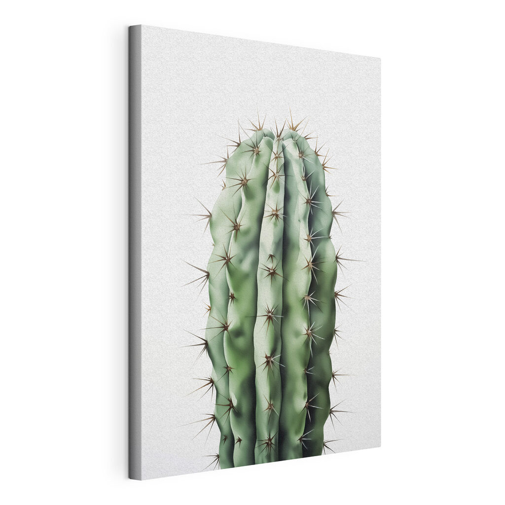 Cactus colonnare su bianco, tela tesa e bordo avvolto